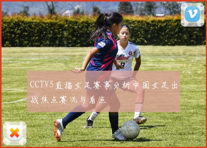 CCTV5直播女足赛事分析中国女足出战焦点赛况与看点