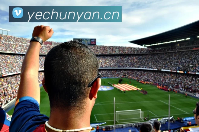 多媒体互动体验